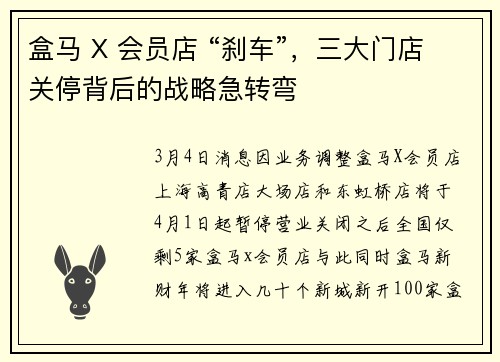 盒马 X 会员店 “刹车”，三大门店关停背后的战略急转弯