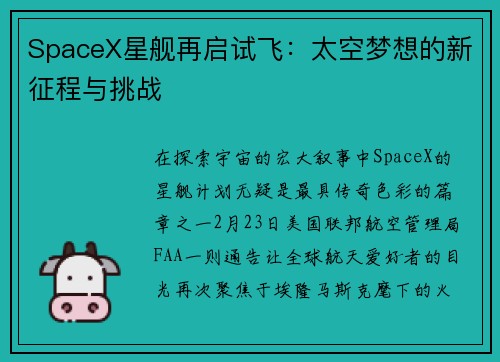 SpaceX星舰再启试飞：太空梦想的新征程与挑战