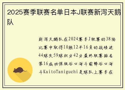 2025赛季联赛名单日本J联赛新泻天鹅队